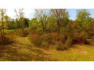 Allen County - LAND AUCTION - 2 PROPERTIES, 3.84+/- ACRES IN ALLEN COUNTY, INDIANA & 15+/- ACRES IN DEKALB COUNTY, INDIANA
